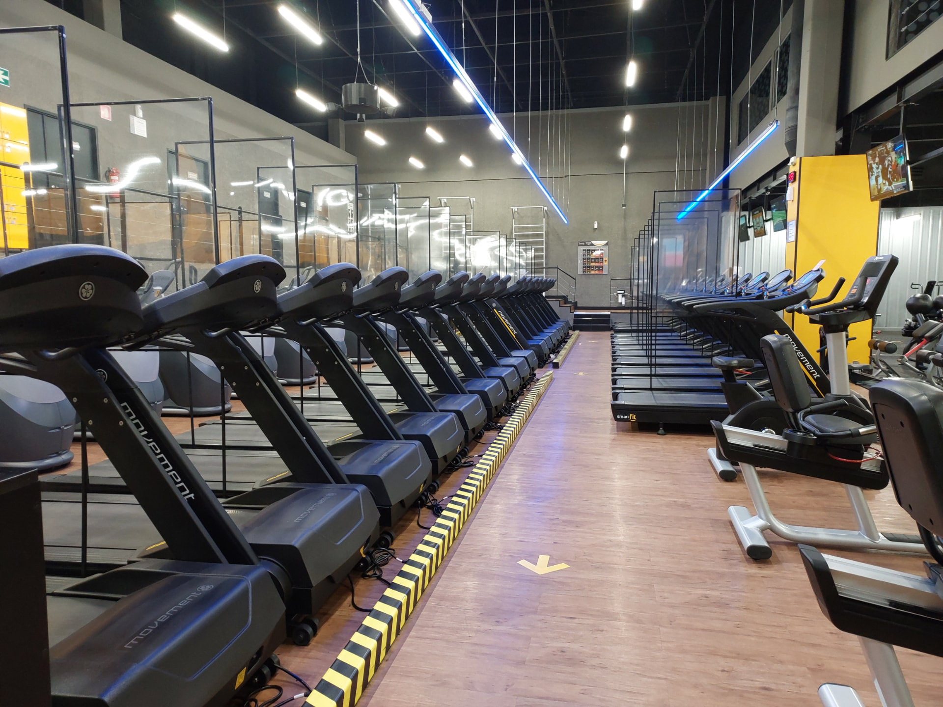 Rows of treadmills and cardio equipment on a modern fitness club floor